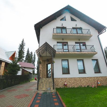 Pensiunea Viki Тэу Бистра Экстерьер фото