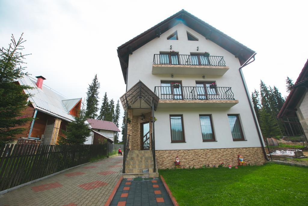 Pensiunea Viki Тэу Бистра Экстерьер фото